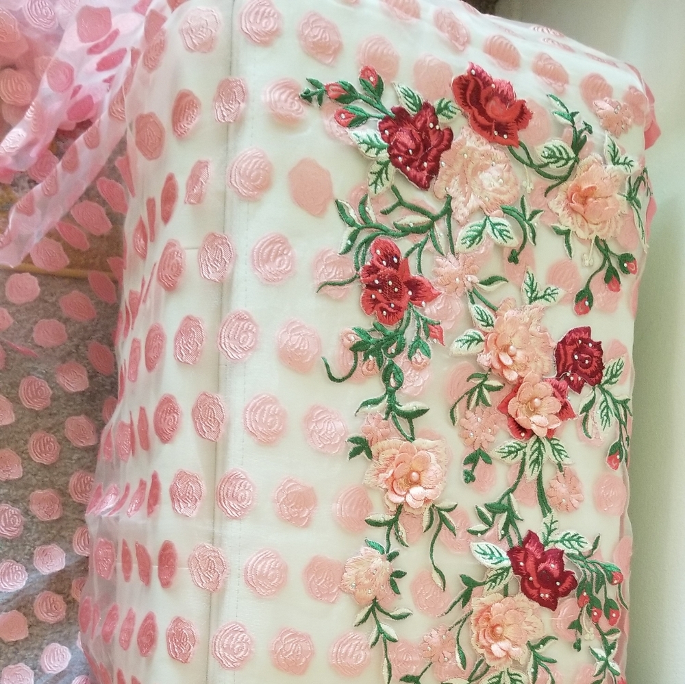 Saree, net, fancy, pink,  unique, sheer with polka dots embroidered all over. - Picture 6 of 8